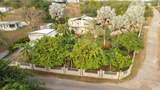 393 Monte Carmelo - Photo 6