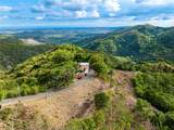 Tabonuco Ward Sr 365 Km 6.4 Int - Photo 10