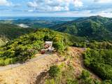 Tabonuco Ward Sr 365 Km 6.4 Int - Photo 11
