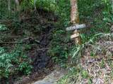 Tabonuco Ward Sr 365 Km 6.4 Int - Photo 12
