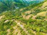 Tabonuco Ward Sr 365 Km 6.4 Int - Photo 3