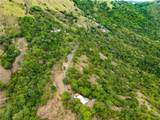 Tabonuco Ward Sr 365 Km 6.4 Int - Photo 4