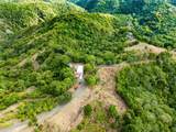 Tabonuco Ward Sr 365 Km 6.4 Int - Photo 7