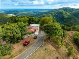 Tabonuco Ward Sr 365 Km 6.4 Int - Photo 9