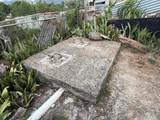 Carr. 10 Bo. Hato Viejo - Photo 10