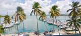 Tower 1 Isleta Marina - Photo 9