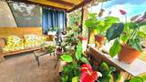 773 st. Barrancas - Photo 30