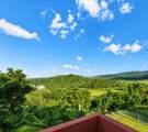 22 Mansiones De Terralinda - Photo 21