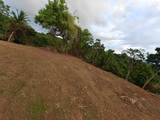 PR-3 Haciendas De Canovanas - Photo 5