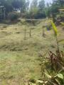 Carretera 742 Kilome Sector Las Villas Barrio Carite - Photo 10