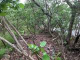 1250 Beach Road - Photo 16