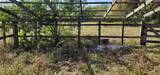 6012 Lorraine Road - Photo 12