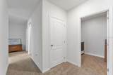 2557 Shamrock St - Photo 18