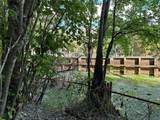  Belinda Drive - Photo 11