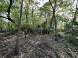  Belinda Drive - Photo 13