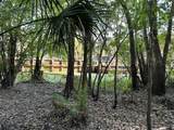  Belinda Drive - Photo 9