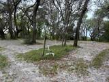  Chameleon Road - Photo 3