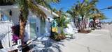 3351 Bahia Vista Street - Photo 3