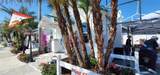 3351 Bahia Vista Street - Photo 4