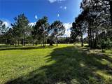 15401 Co Rd 450 - Photo 20