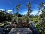 15401 Co Rd 450 - Photo 9