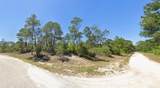 512 House Sparrow Drive - Photo 1