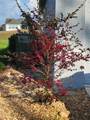 27343 Roanoke Drive - Photo 98