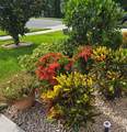 532 Emily Glen Street - Photo 8