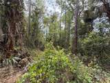  County Road 445A - Photo 5