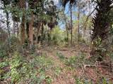  County Road 445A - Photo 6