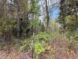  County Road 445A - Photo 8