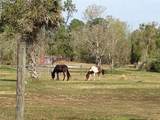 54523 Astor Transfer Station Road - Photo 28