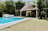 Lote 9 Xman Ha - Photo 48