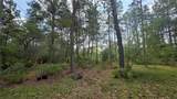 5719 Stockholm Lane - Photo 4