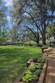 11102 Shady Oak Street - Photo 4