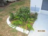 6228 Egret Drive - Photo 11