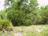 1457 Kissimmee Way - Photo 4