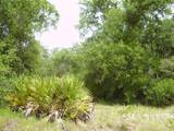 1457 Kissimmee Way - Photo 5