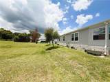 165 Sago Palm Drive - Photo 8
