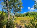  Irlo Bronson Memorial Highway - Photo 23