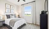 5220 Bee Balm Street - Photo 17
