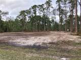 216 Gaillardia Drive - Photo 3