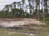 216 Gaillardia Drive - Photo 4