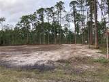 216 Gaillardia Drive - Photo 5