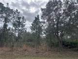 0 Allamanda Lot 11 Drive - Photo 10