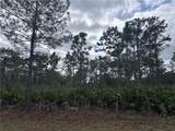 0 Allamanda Lot 11 Drive - Photo 11