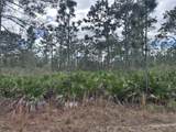 0 Allamanda Lot 11 Drive - Photo 4