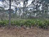 0 Allamanda Lot 11 Drive - Photo 8