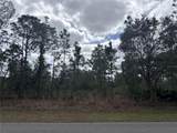 0 Allamanda Lot 11 Drive - Photo 9