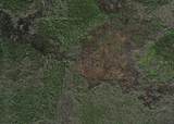  Holopaw Groves Road - Photo 1